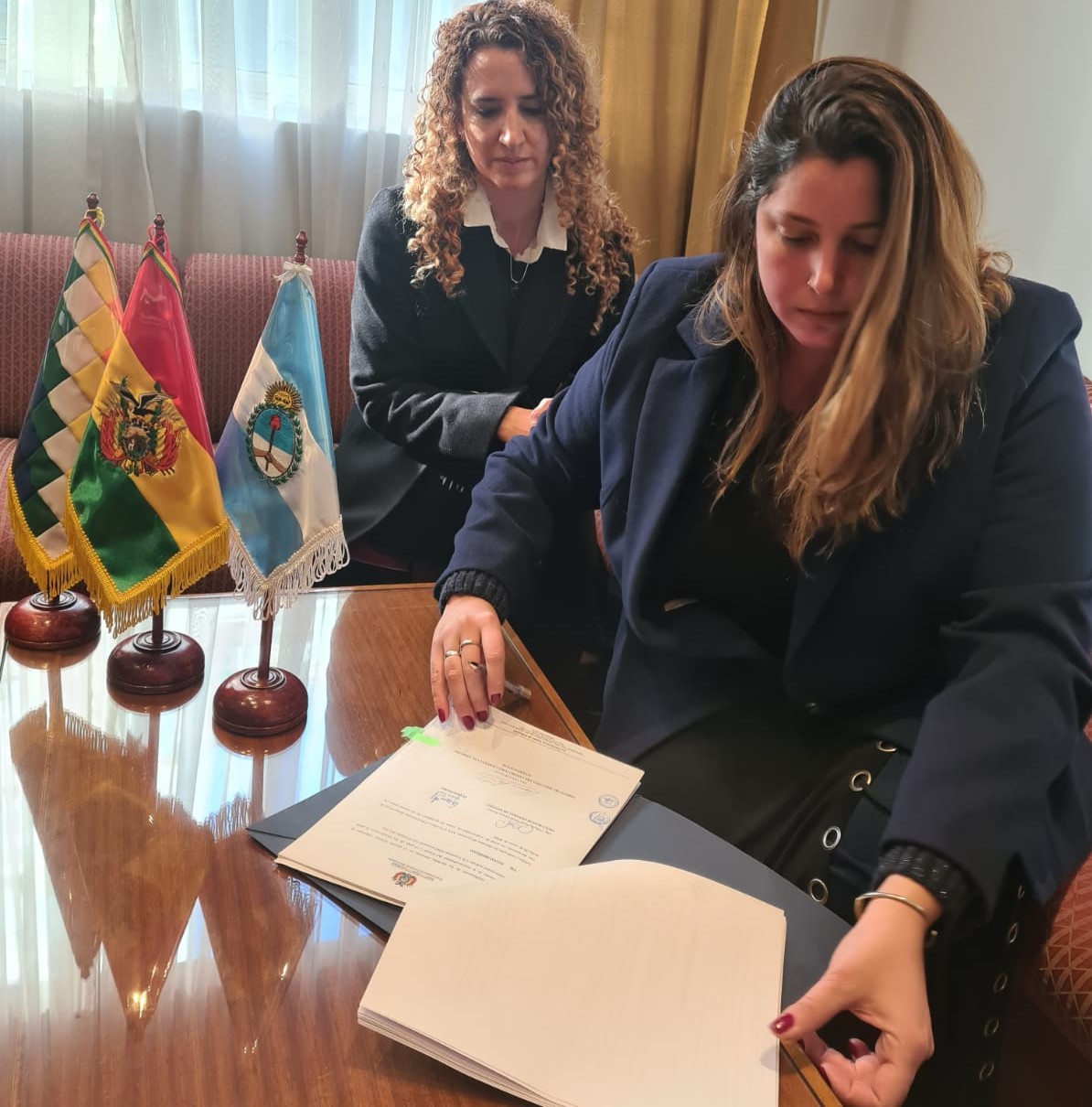 Estado de Bolivia indemnizará a familia de ciudadana argentina por vulneración de derechos humanos en 1994