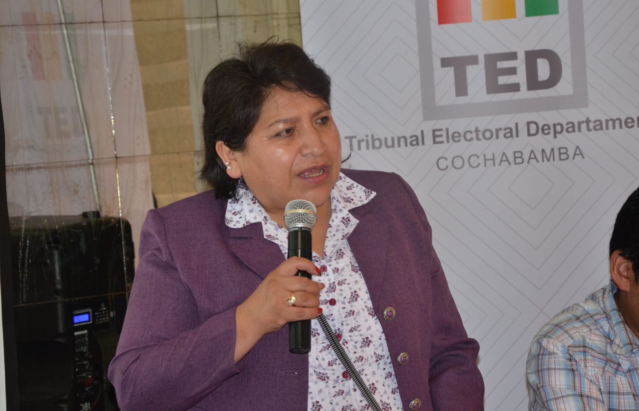 TSE perfila el 29 de octubre como posible fecha de las elecciones judiciales