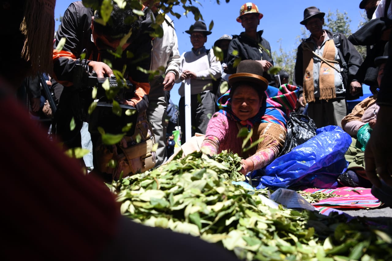 Colombia respaldará propuesta de Bolivia para pedir a la ONU que retire a la coca de la lista de estupefacientes