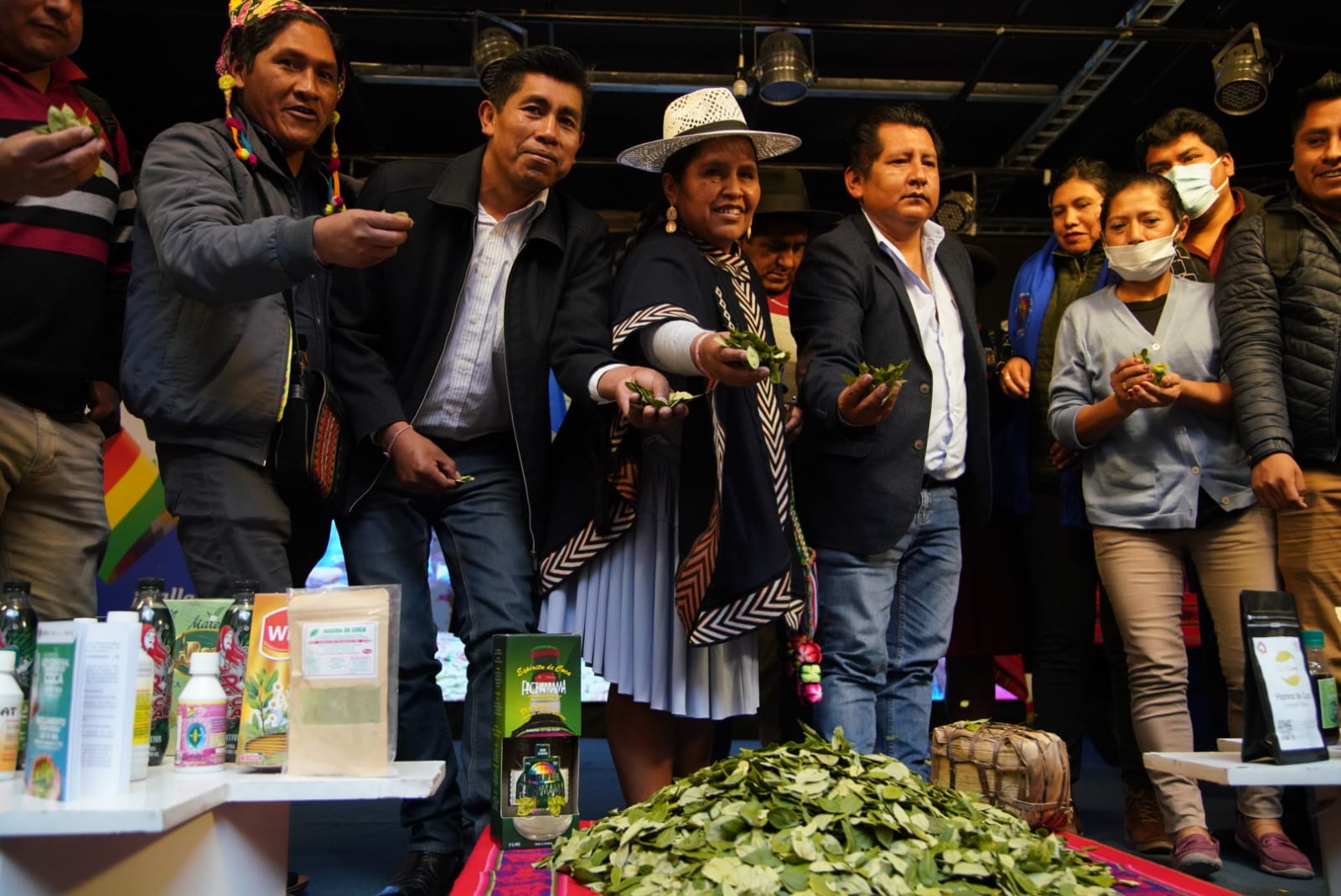 El Dia Nacional del Acullico se celebrará el 11 de enero para revalorizar la milenaria hoja de coca