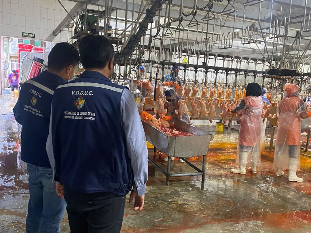 Gripe aviar: Cuatro filtros de control aseguran a la población acceder a carne de pollo y huevo de calidad