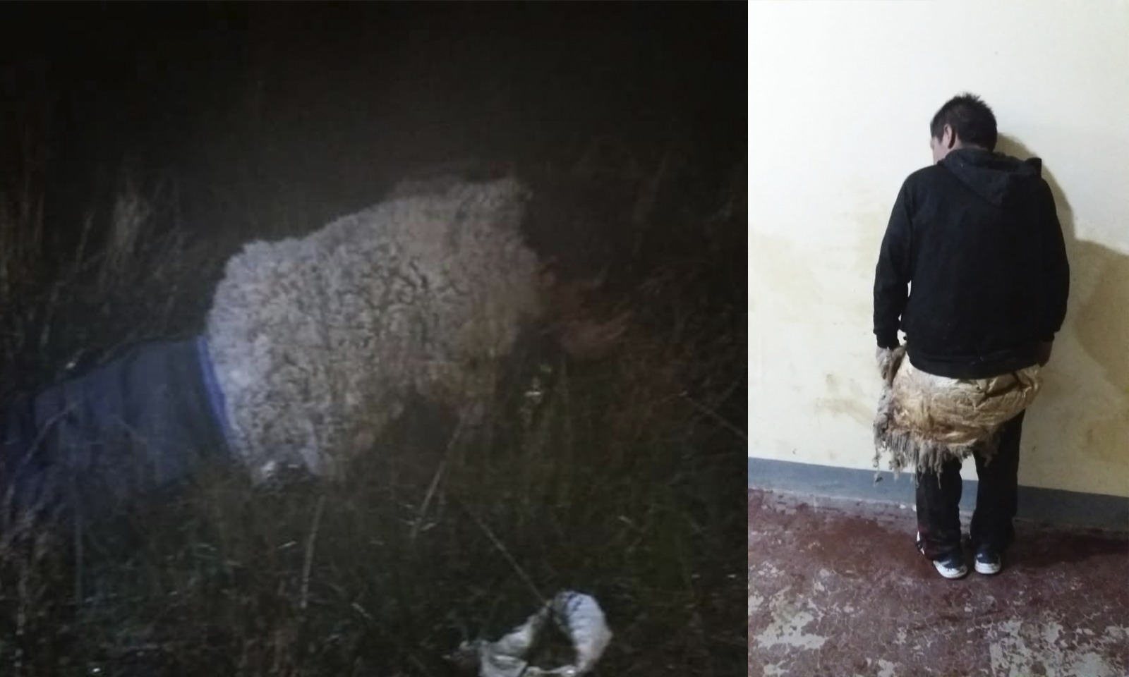 Seguridad Penitenciaria evita que reo escape de la cárcel de Chonchocoro en La Paz