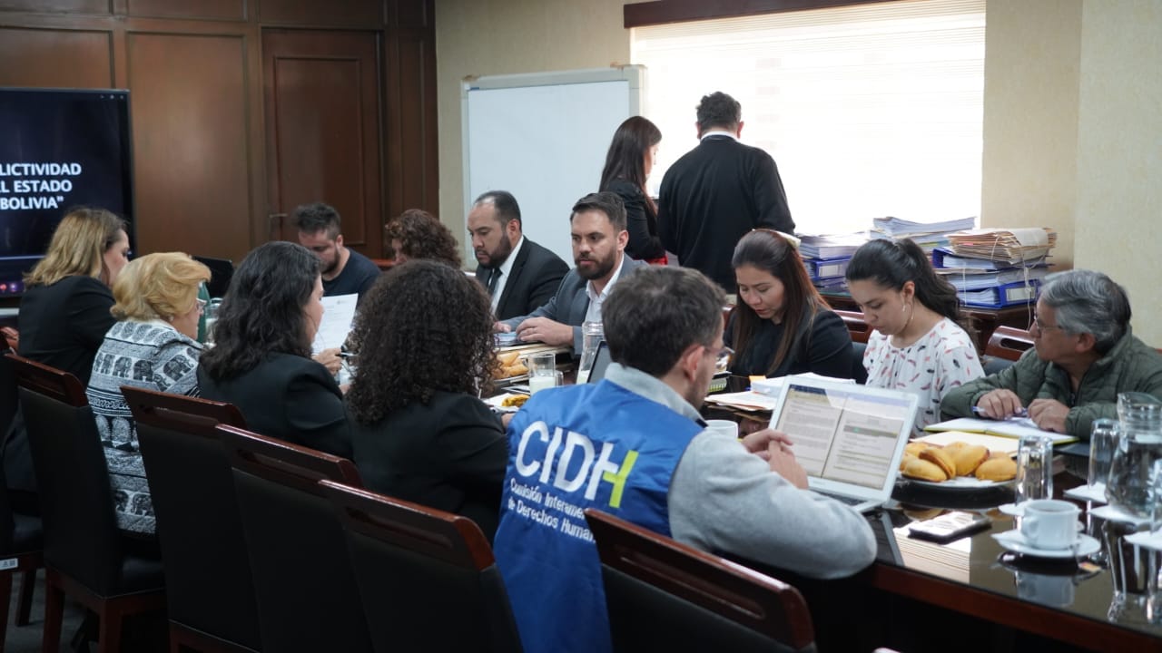 Del Castillo informa a la misión de la CIDH de los “actos vandálicos y violentos” para desestabilizar al Gobierno