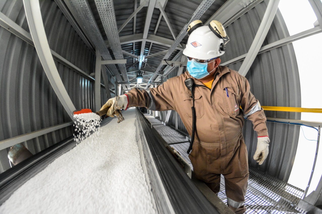 Con la industrialización de los recursos naturales, Bolivia diversifica la producción, genera empleos y dinamiza la economía