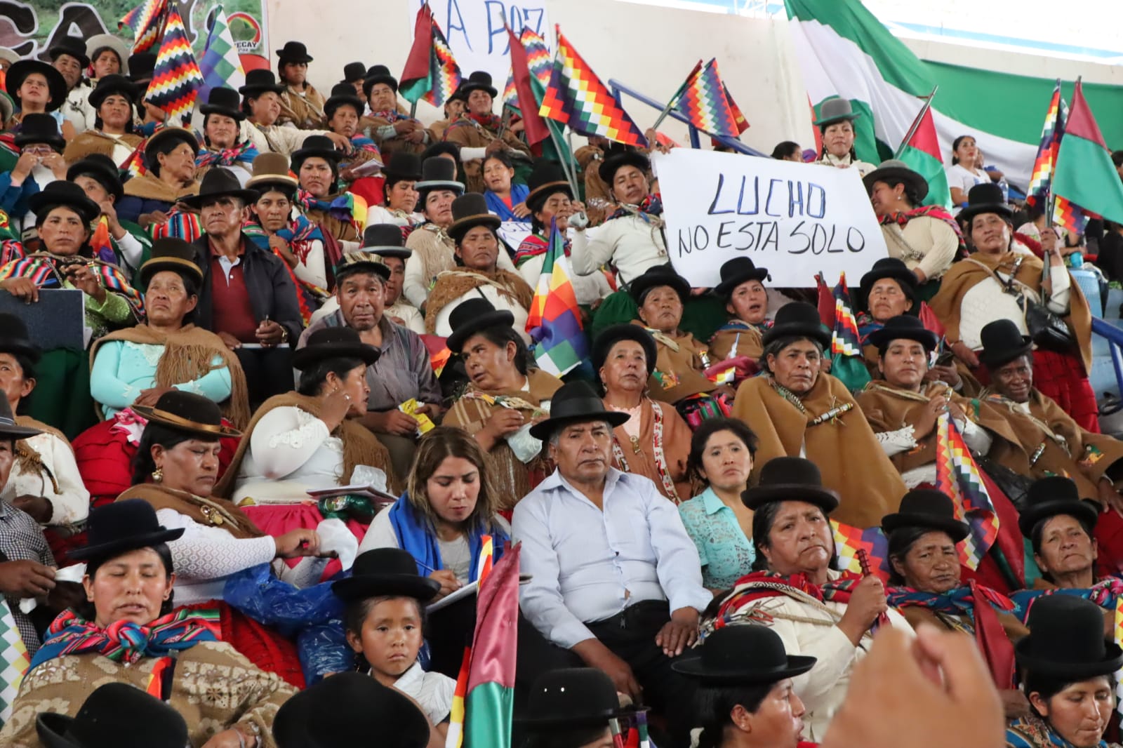 Gobierno denuncia que la derecha nacional e internacional amenaza el litio