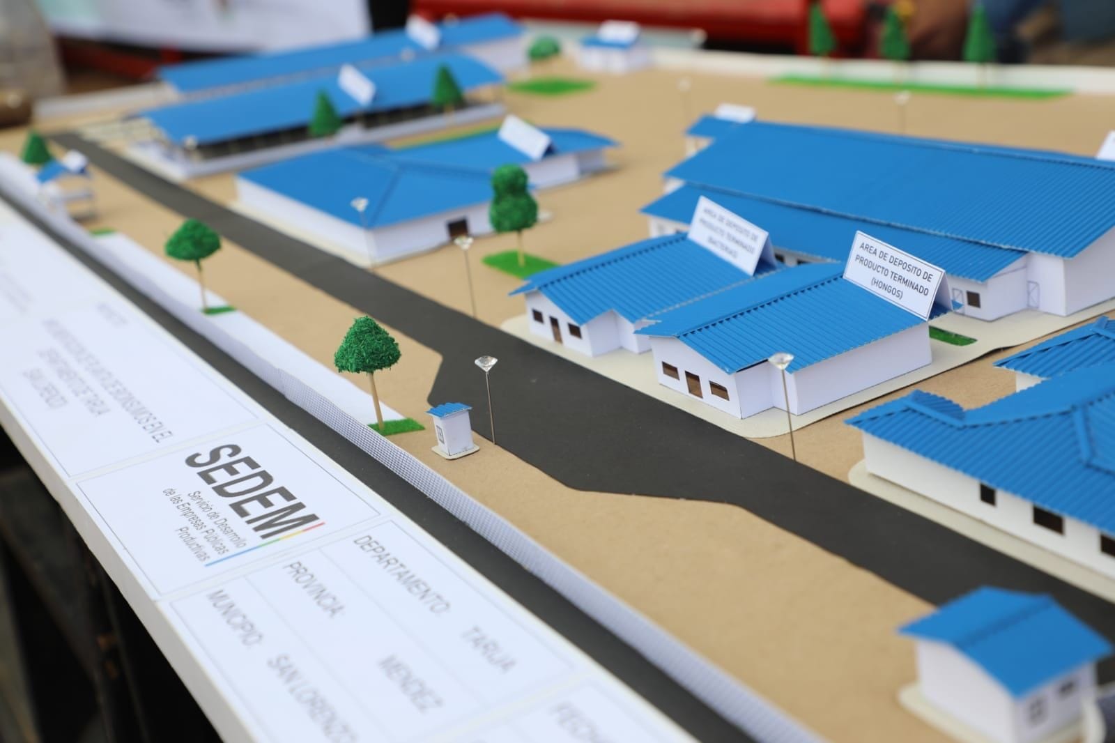 Gobierno invierte cerca de Bs 402 millones en proyectos de industrialización en Tarija