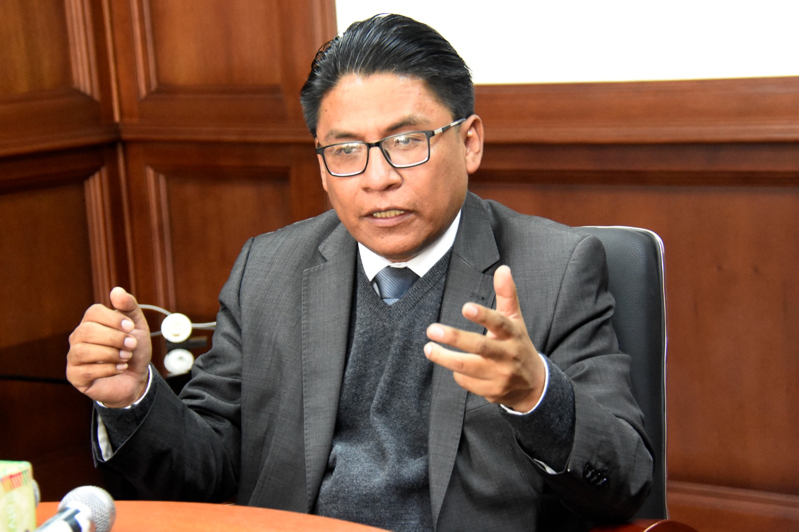 Elecciones judiciales están en manos de la ALP, ningún tribunal nacional, ni extranjero puede “reemplazar su rol” 