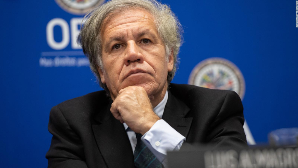 Congresistas de EEUU piden investigar a Almagro por acciones “atroces y perjudiciales” como el informe de 2019 en Bolivia