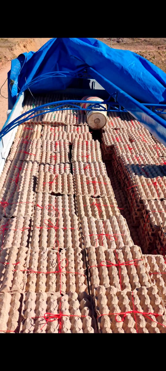 Comisan 186.000 huevos que eran llevados a Perú