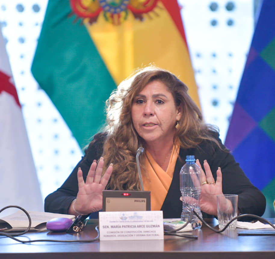 Comisión perfila ley para reencauzar la preselección de candidatos a las judiciales