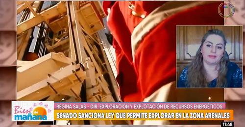 Ley de contrato petrolero en Arenales viabiliza $us 94 millones de inversión