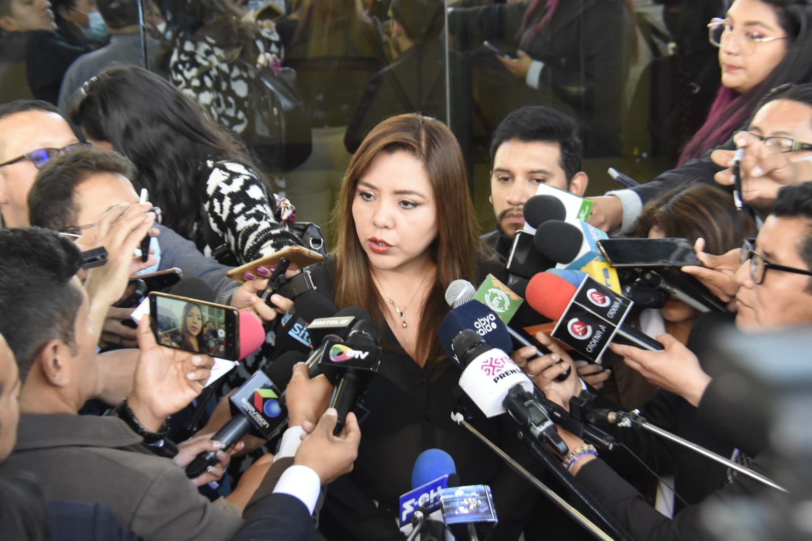 Viceministra Alcón anuncia que Aduana y Diprove investigan caso vehículo robado