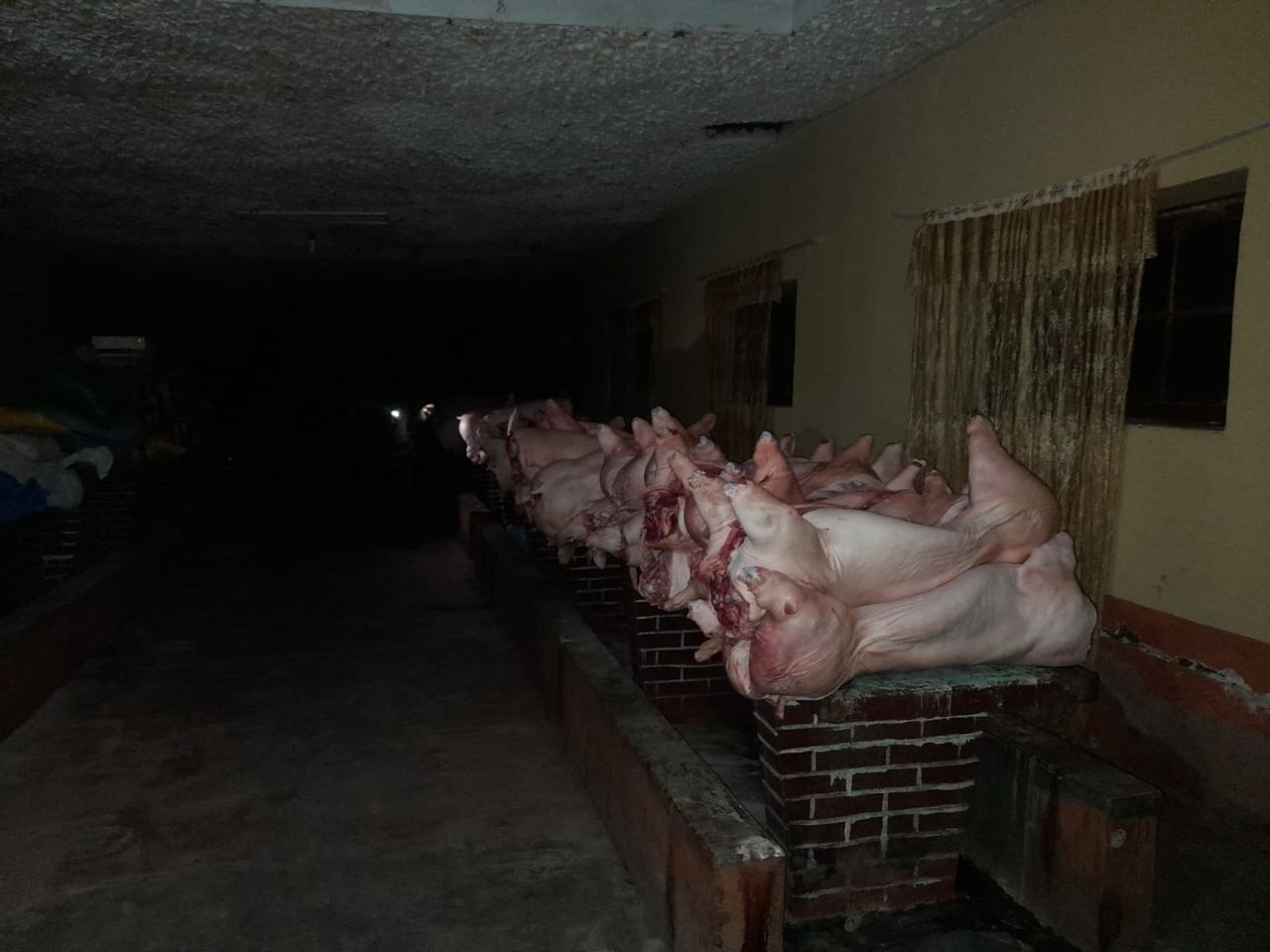 Militares incautan 4.650 kilos de carne de cerdo con destino a Perú