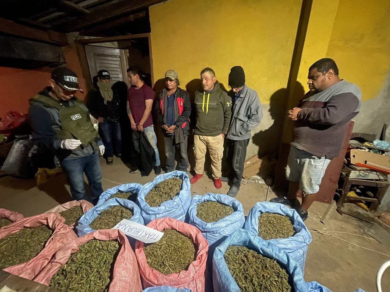 Destruyen una planta de procesamiento de aceite de marihuana y aprehenden a cinco personas en Santa Cruz