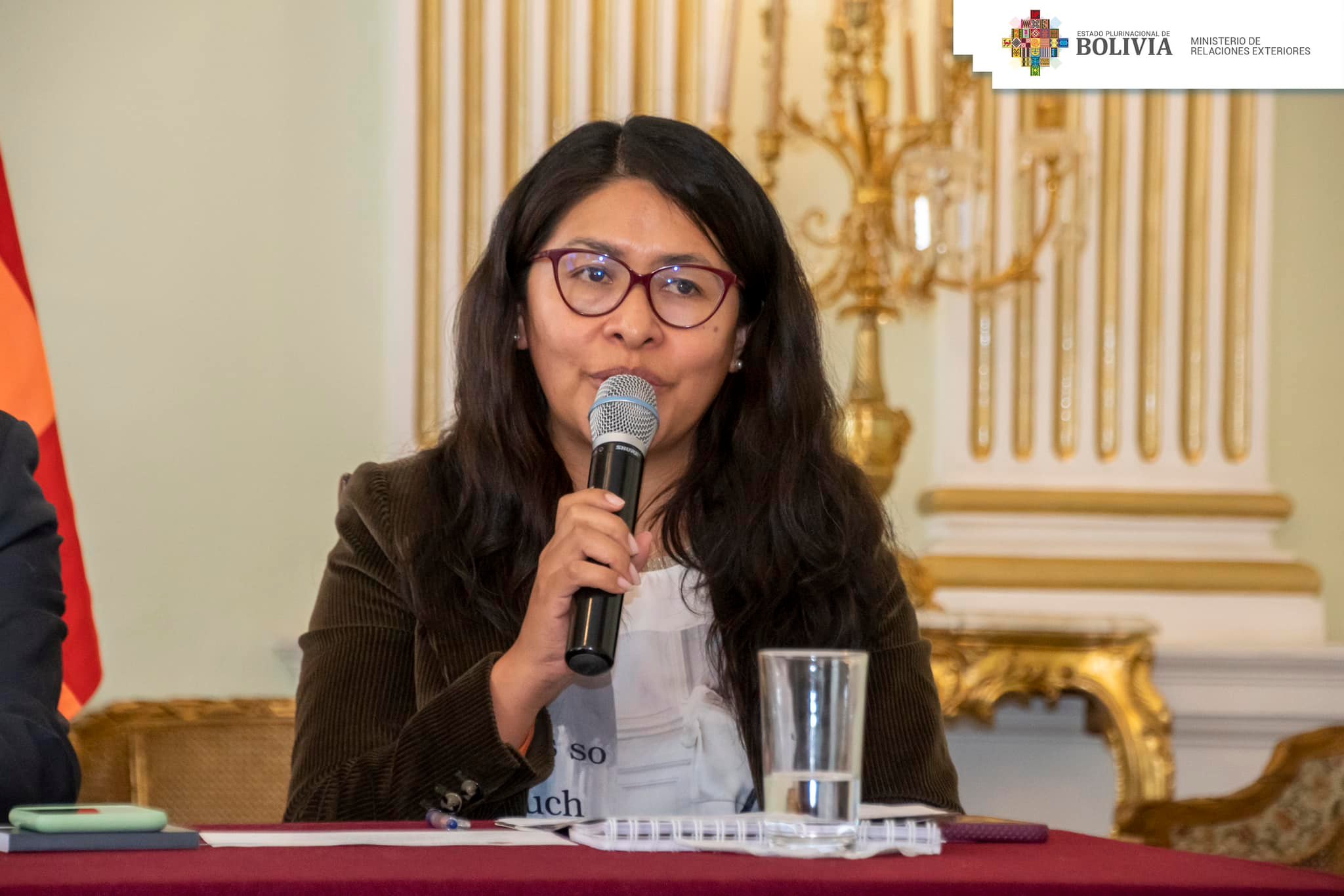 Bolivia no comparte veto de Perú a cónsul en Puno, analiza información