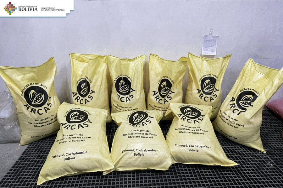 Indígenas de ARCASY exportan primeros 500 kilos de cacao orgánico a Dinamarca