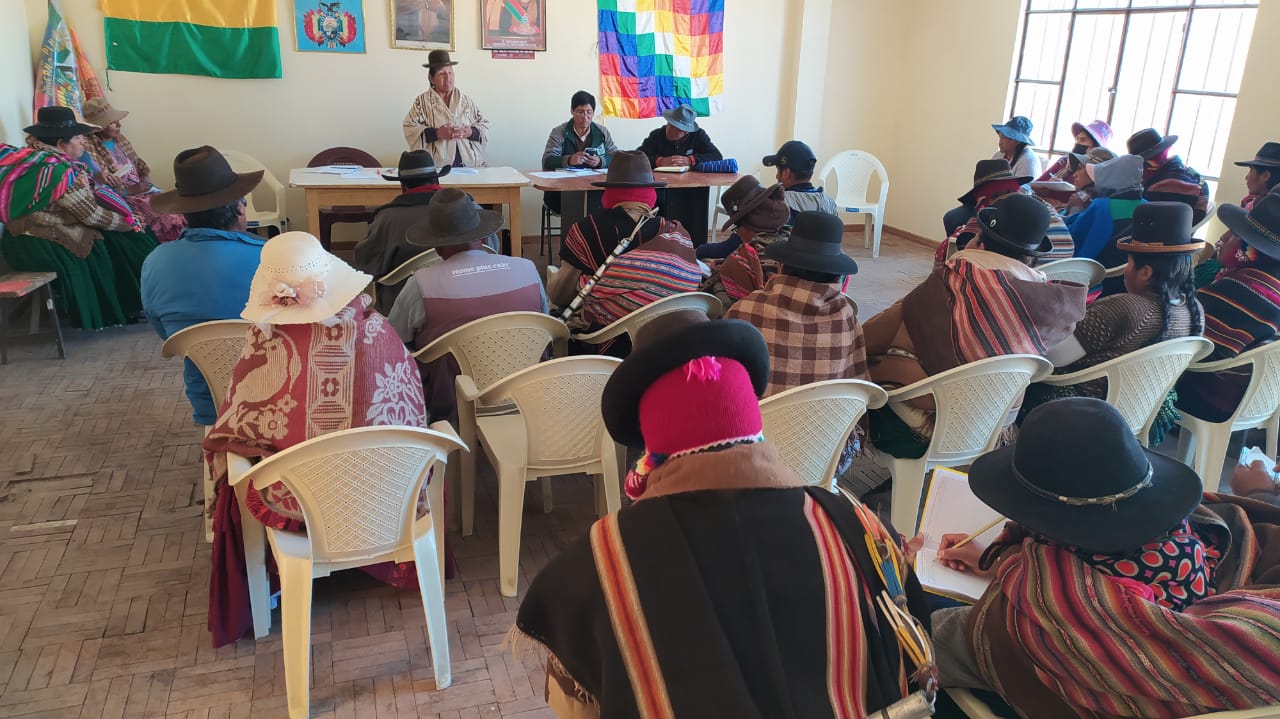 Alistan curso de capacitación sobre el cultivo de q’awchi, forraje alternativo para camélidos 