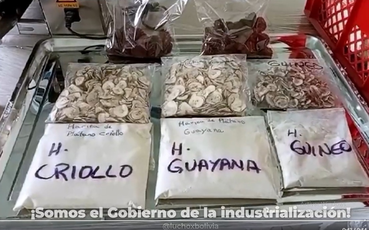 Edificación de la planta procesadora de plátano de San Buenaventura llega al 90% de avance físico