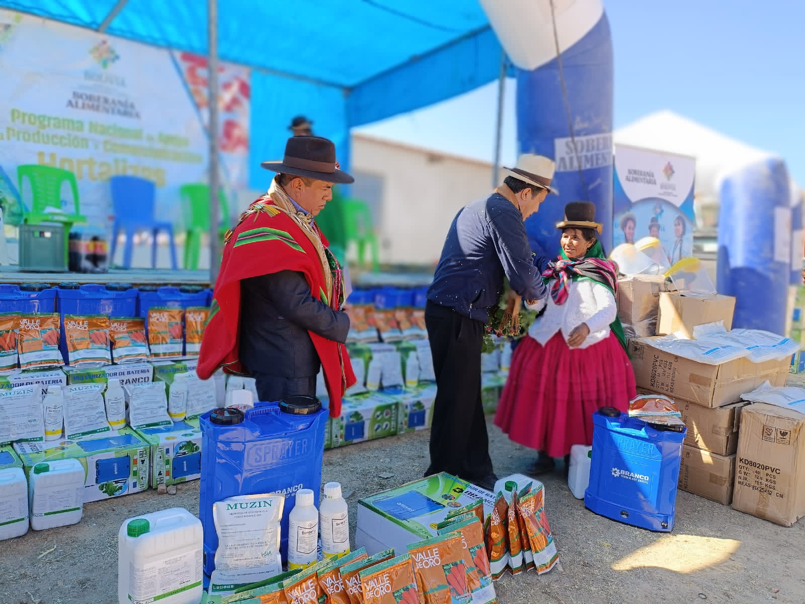 Entregan semillas e insumos agrícolas por Bs 251.323 para incrementar producción de hortalizas en Patacamaya 