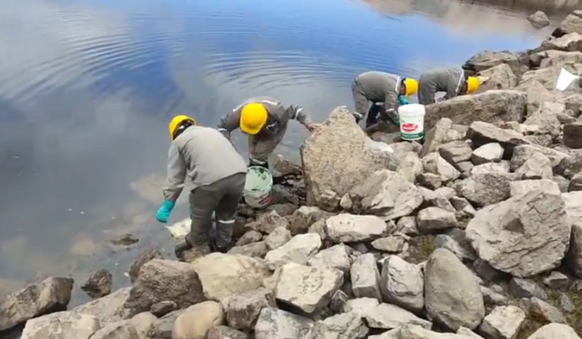Limpian aceite derramado que afectó a aves y peces en la laguna Corani 