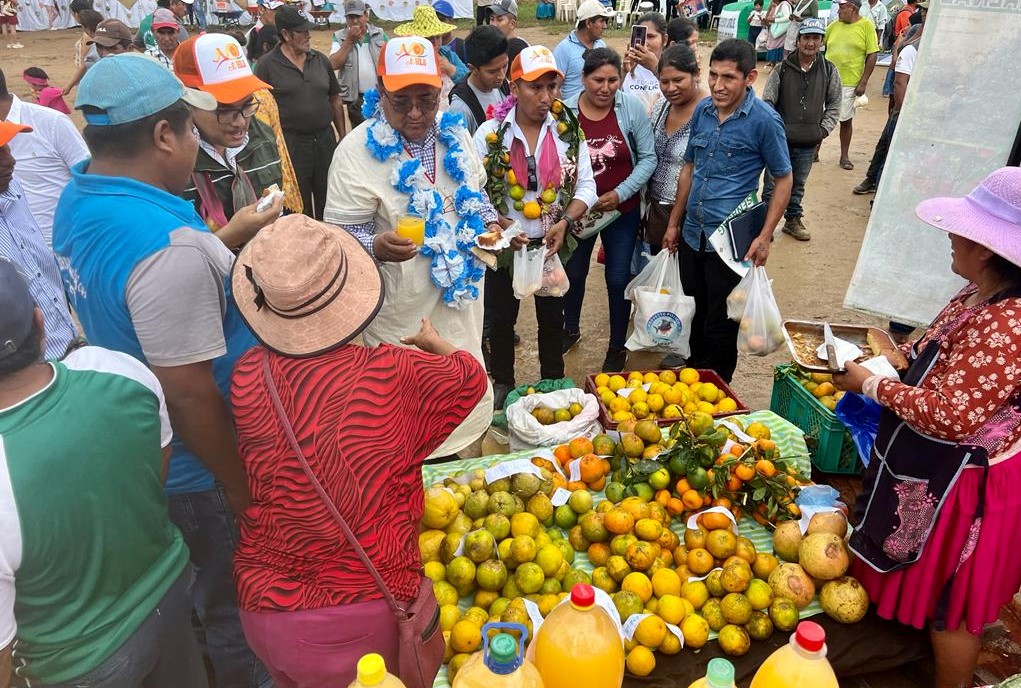 Alertan sobre el riesgo de la enfermedad HLB que afecta cítricos y que está en países vecinos
