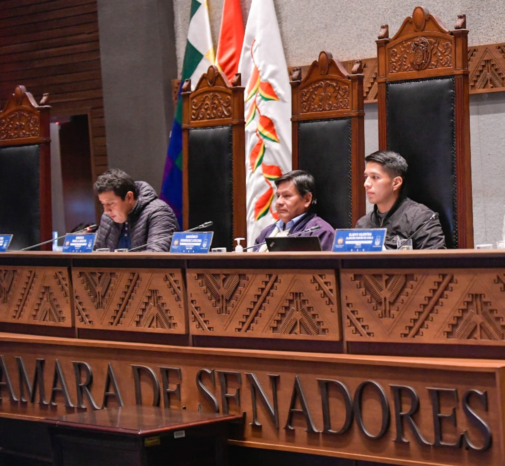 Presidente del Senado alerta que elecciones judiciales “corren riesgo” y anuncia “determinaciones” para agosto