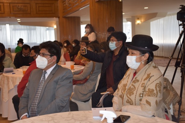 La Paz registra entre enero y julio seis casos de acoso y violencia política