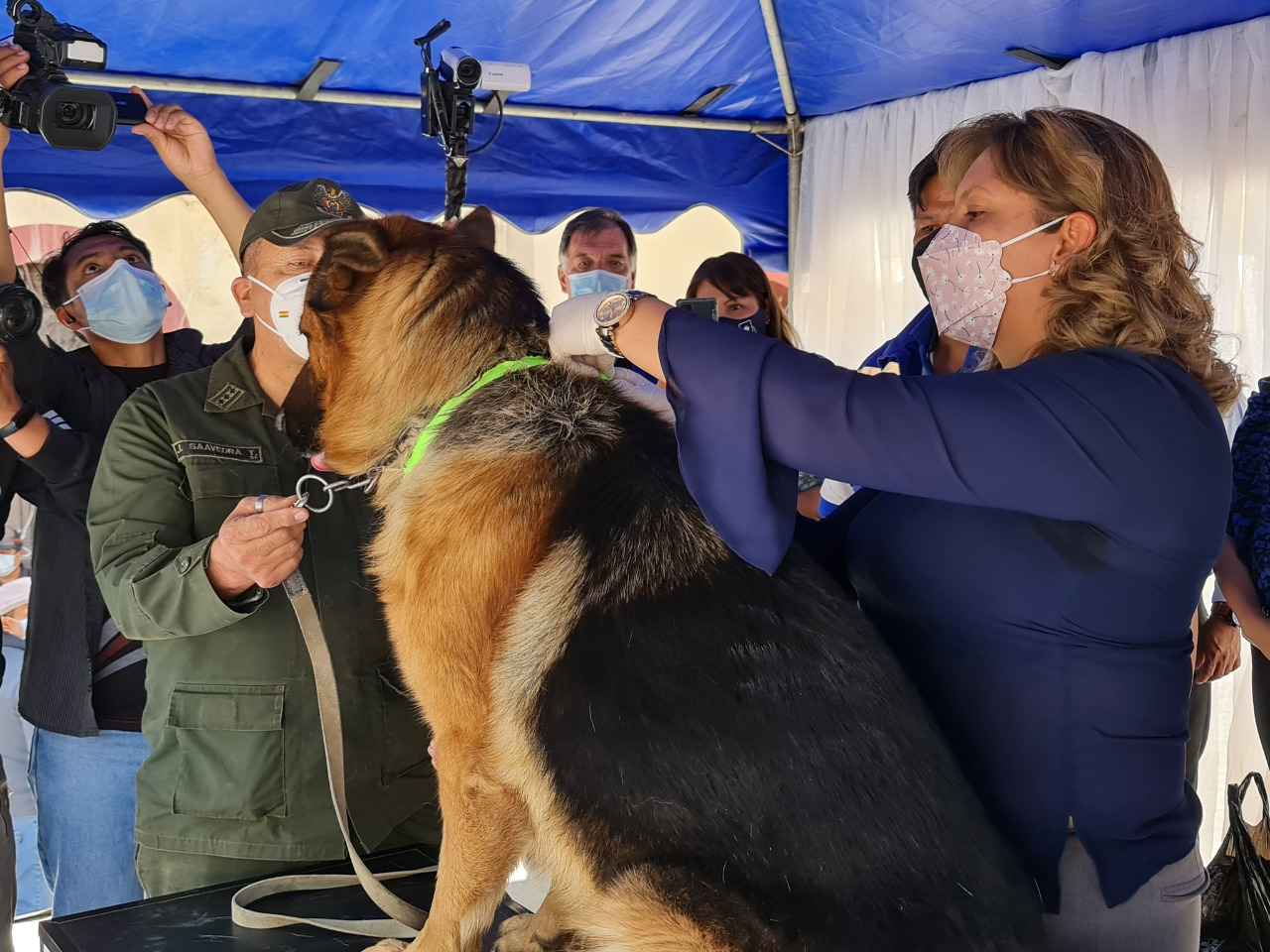 Brigadas del Sedes La Paz vacunan a canes contra la rabia y buscan posibles casos positivos en Viacha