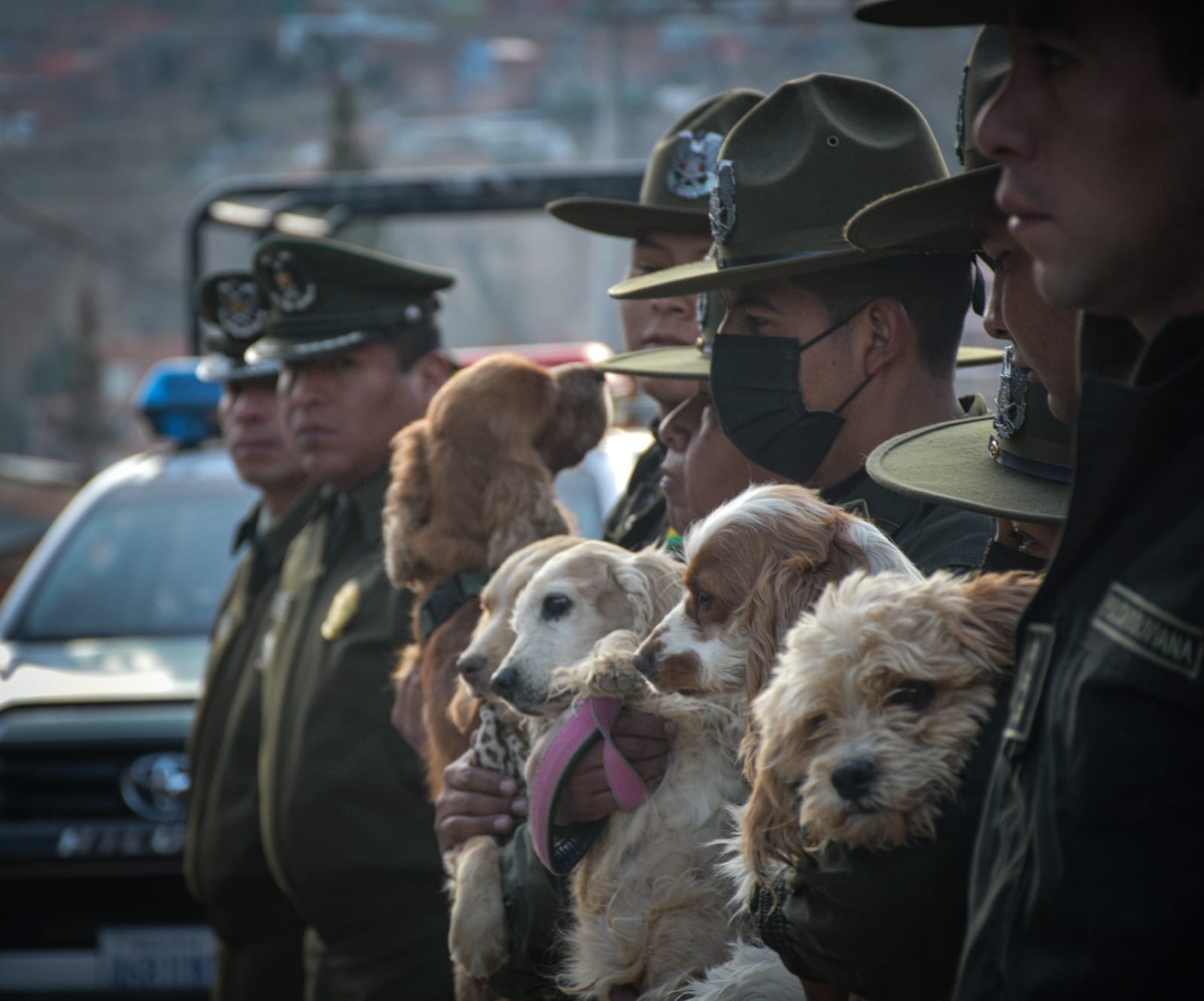 Policía adiestrará a 65 canes en situación de calle para fomentar la adopción y tenencia responsable
