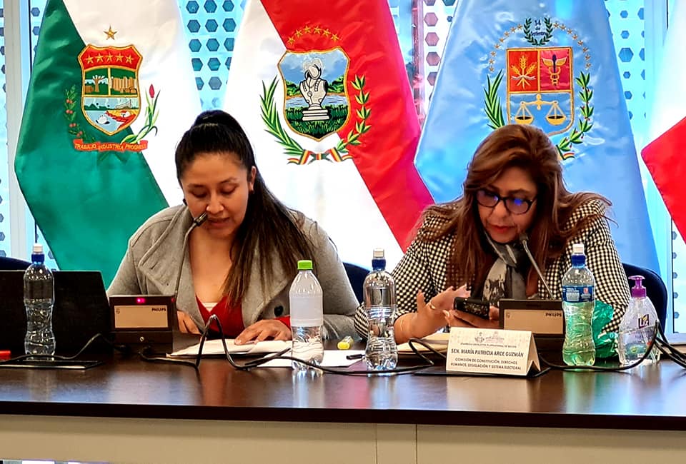 Presidenta de la Comisión Mixta anuncia juicio contra magistrados del TCP por “jugadas” para mantenerse en el cargo