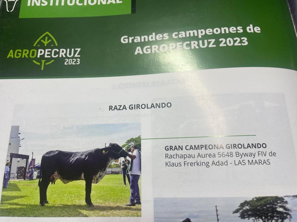 Ganaderos en emergencia: Abigeato ocasiona pérdida de $us 2,5 millones y 4.080 cabezas menos en producción