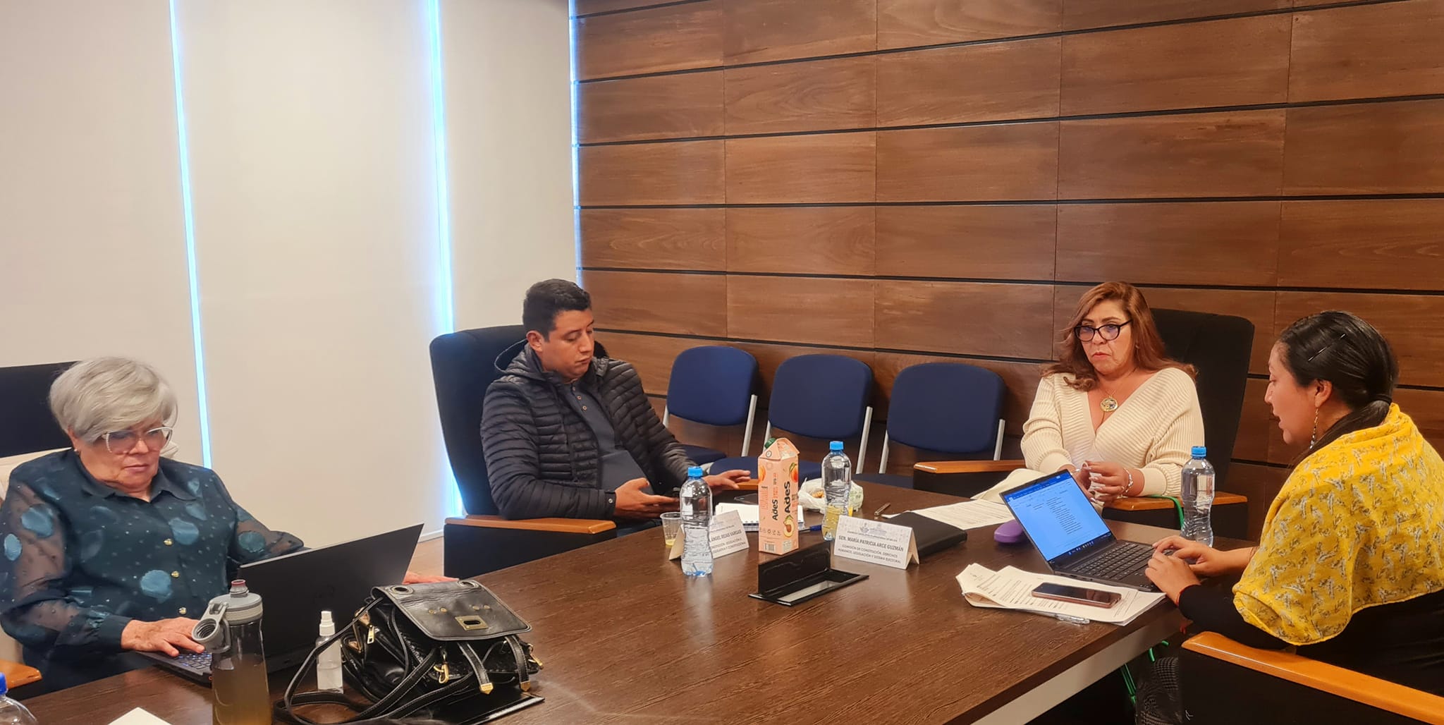 Comisión del Senado aprueba por unanimidad ley para las judiciales con apoyo de Silvia Salame