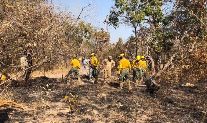 ABT plantea penas de 10 años de cárcel para quienes generen incendios forestales