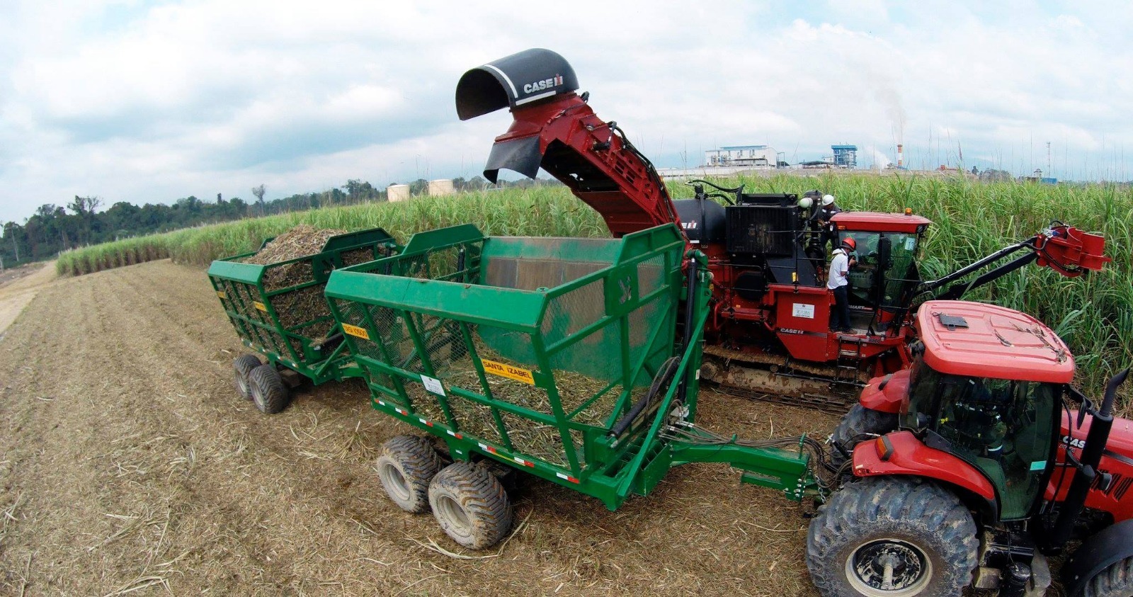 Inicio de la zafra en el ingenio de San Buenaventura. Foto: MDPyEP.