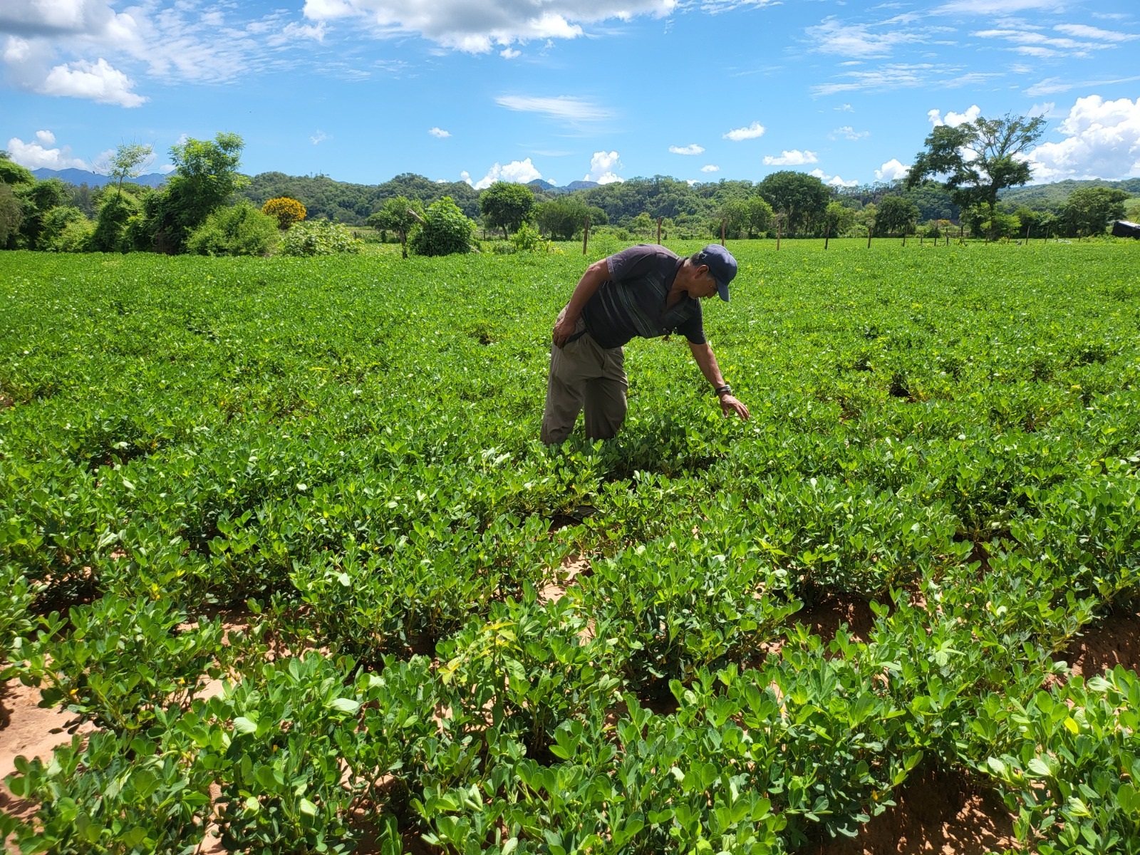 BDP inyecta Bs 3.584,1 millones a 54.474 unidades productivas de toda Bolivia