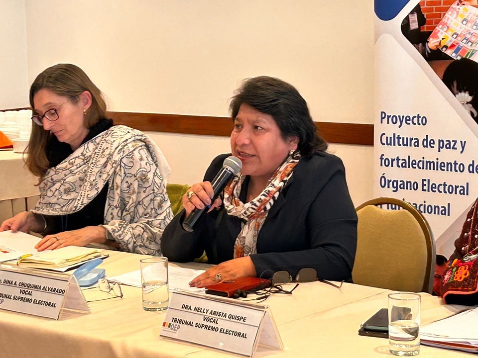 Judiciales: TSE espera pronunciamiento del Legislativo, afirma que puede realizar elecciones en 90 días