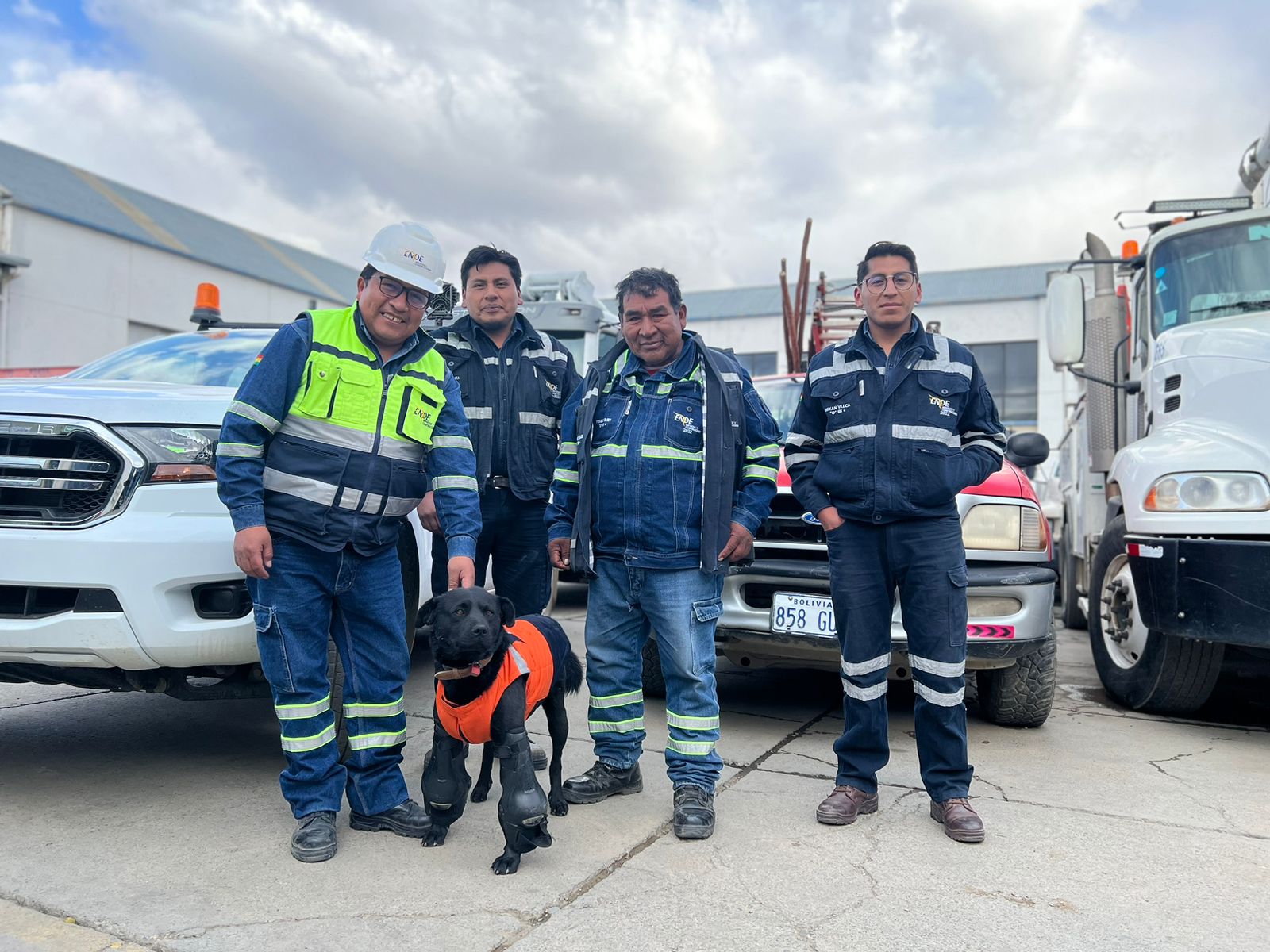 Más de 30 mascotas forman parte de los equipos de trabajo de ENDE Corporación