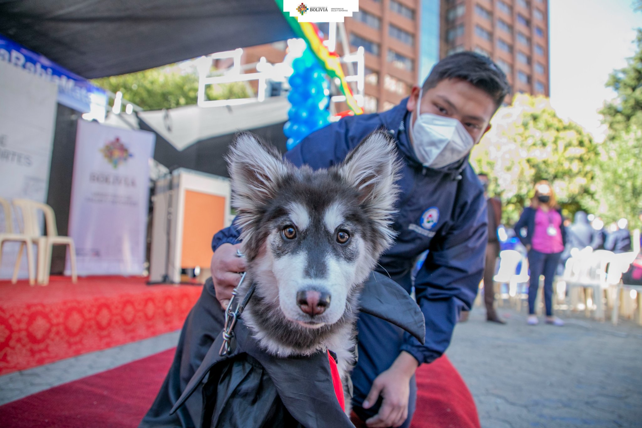 Cerca de 6.000 personas fueron agredidas por perros expuestos a la rabia entre enero y julio