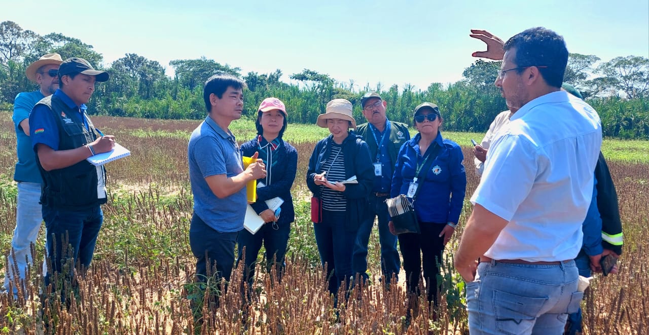 Comisión china visita campos productivos de chía en Santa Cruz con miras a la exportación 