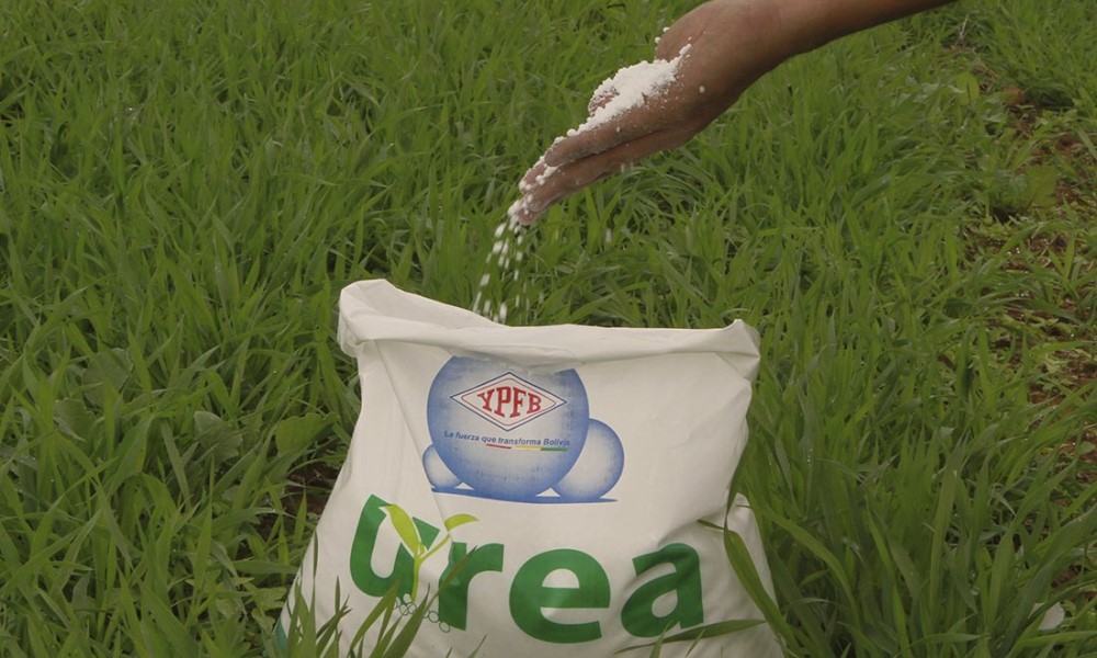 Bolivia sustituye importación de urea casi en su totalidad, el 99% que se consume es producción de la planta de Bulo Bulo