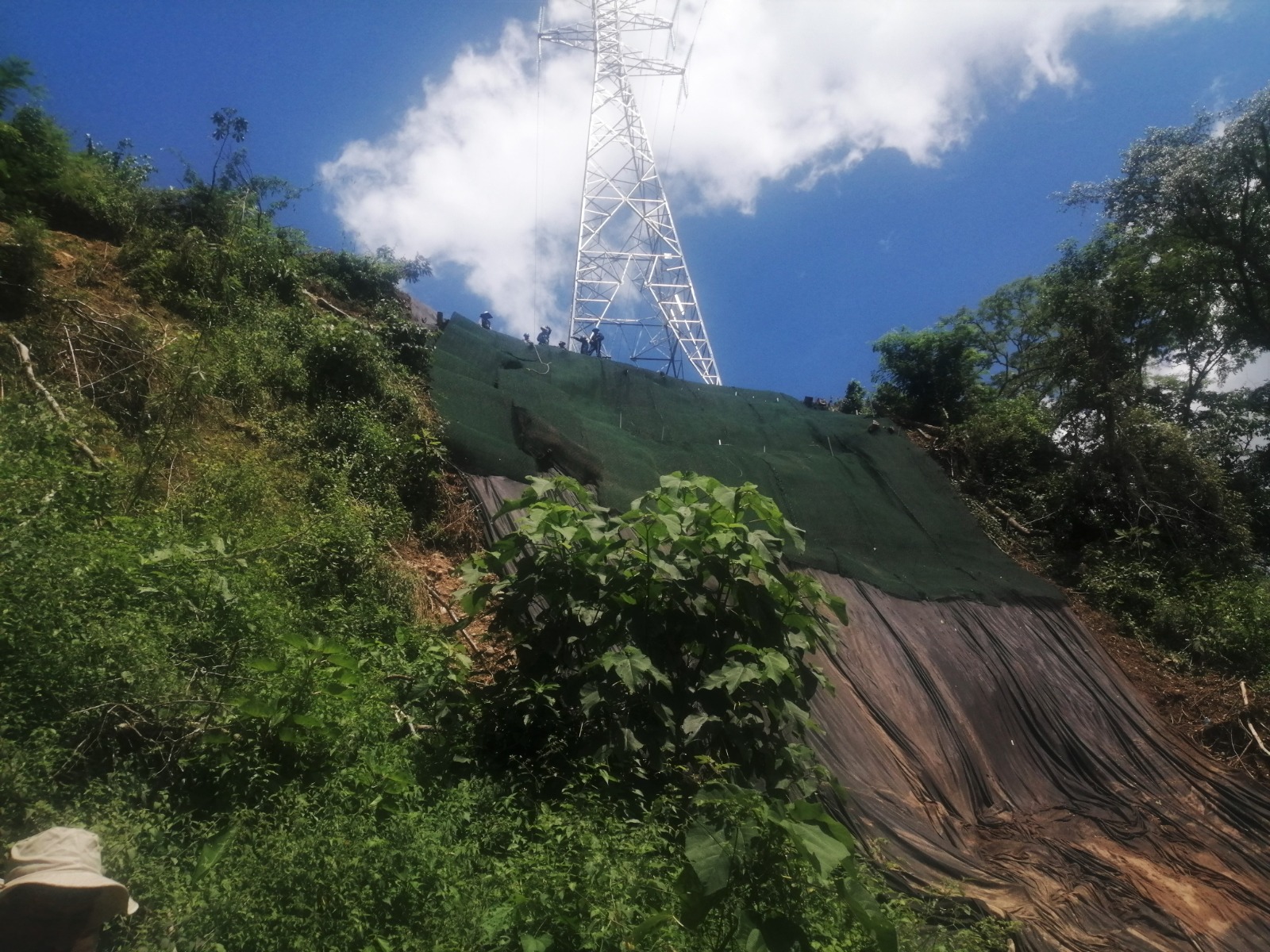 ENDE realiza mantenimiento de líneas eléctricas en Tarija para prevenir cortes en época de lluvias