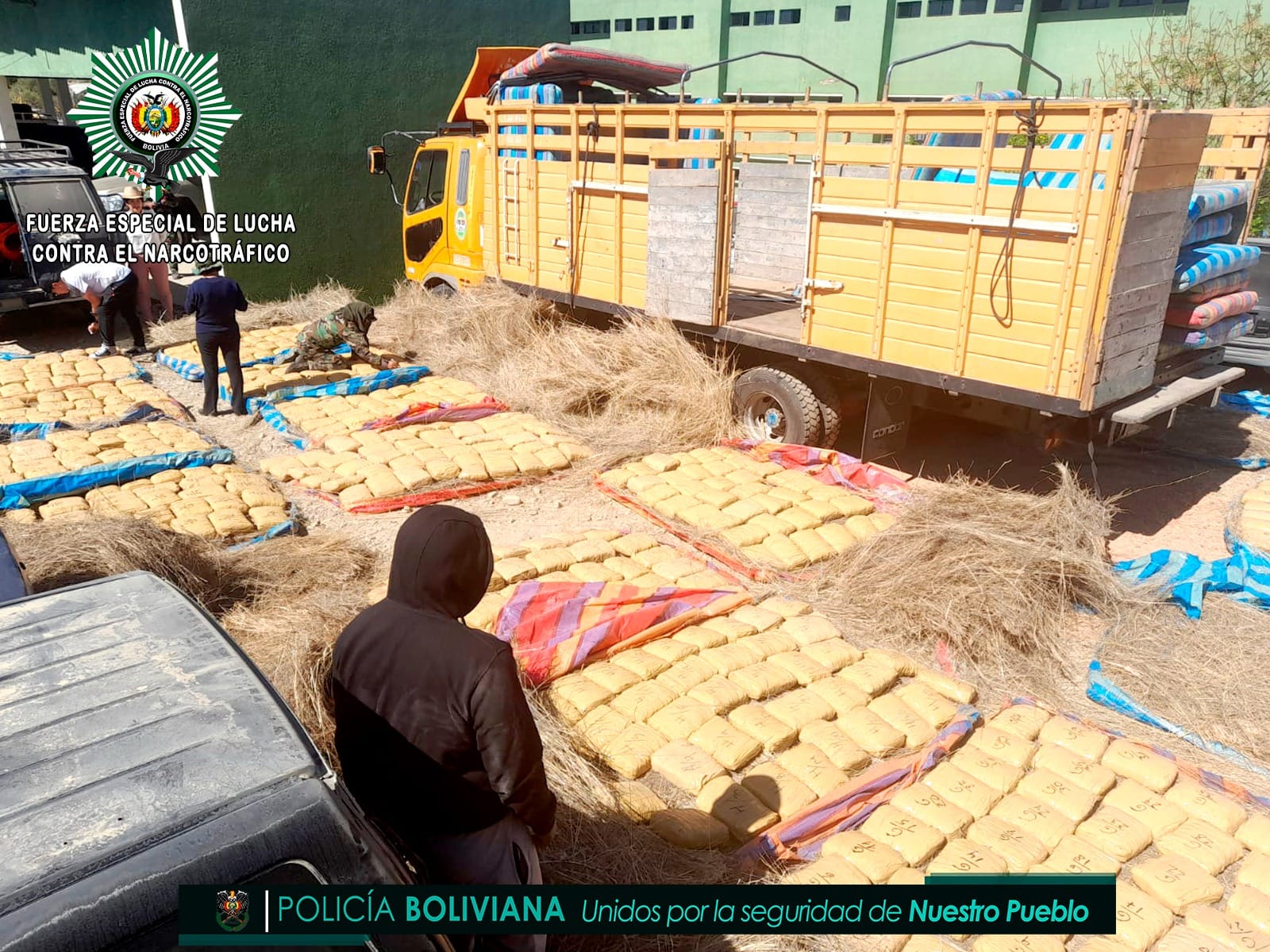 En Tarija la Felcn secuestra cerca de 800 kilos de marihuana camuflados en colchones 