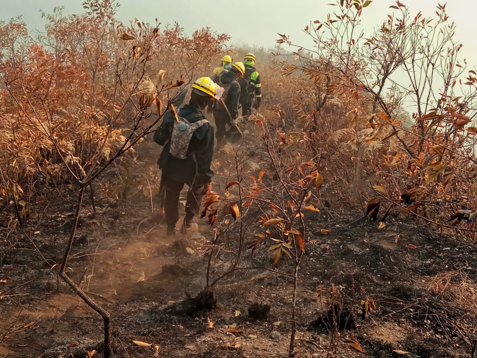 Incendio forestal está controlado en 90% en el Parque Nacional de Cotapata