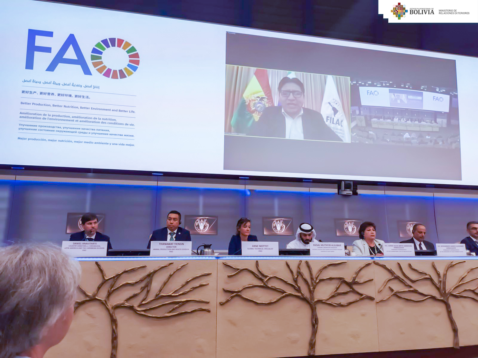 Bolivia alberga a 4 de 6 especies de camélidos del mundo, destacan su papel en la lucha contra el cambio climático