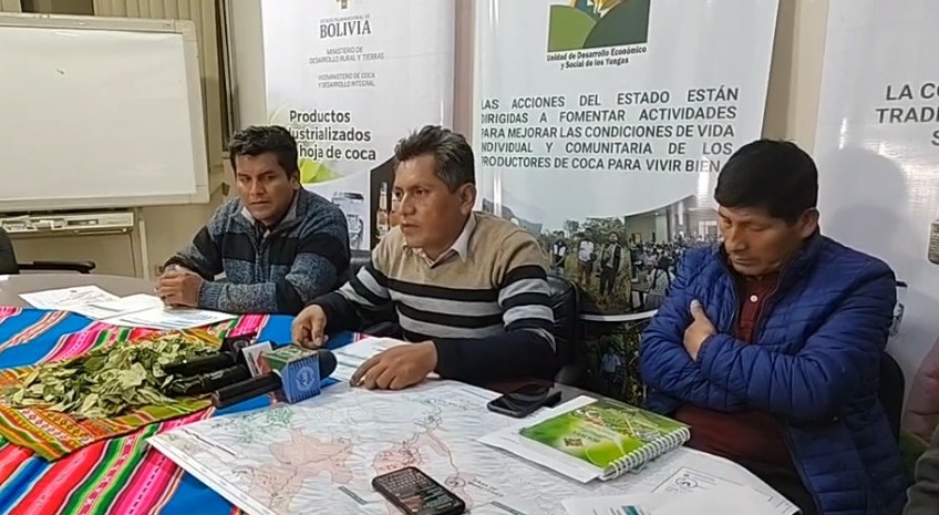 En Bolivia erradican 7.573 hectáreas excedentarias de coca y se avanza en 75,7% de la meta 2023