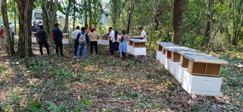 Medio Ambiente entregó insumos apícolas a 28 familias en Santa Cruz con miras a contribuir en la reforestación