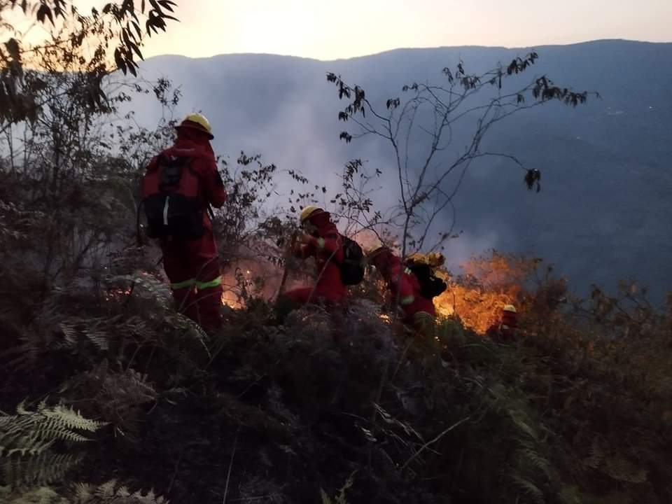 Bomberos forestales luchan contra 16 incendios activos en cuatro departamentos del país