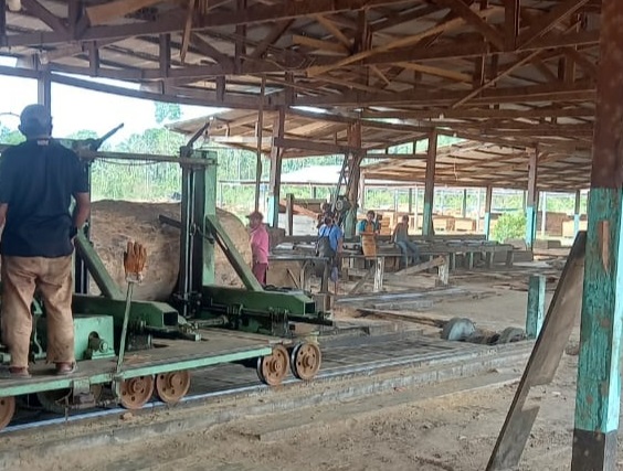 Trabajo verifica la vulneración de las leyes sociales en dos aserraderos de Pando