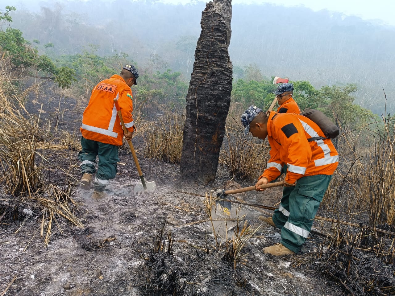 Incendios en Santa Cruz fueron sofocados, policías capturarán a quienes inicien nuevas quemas