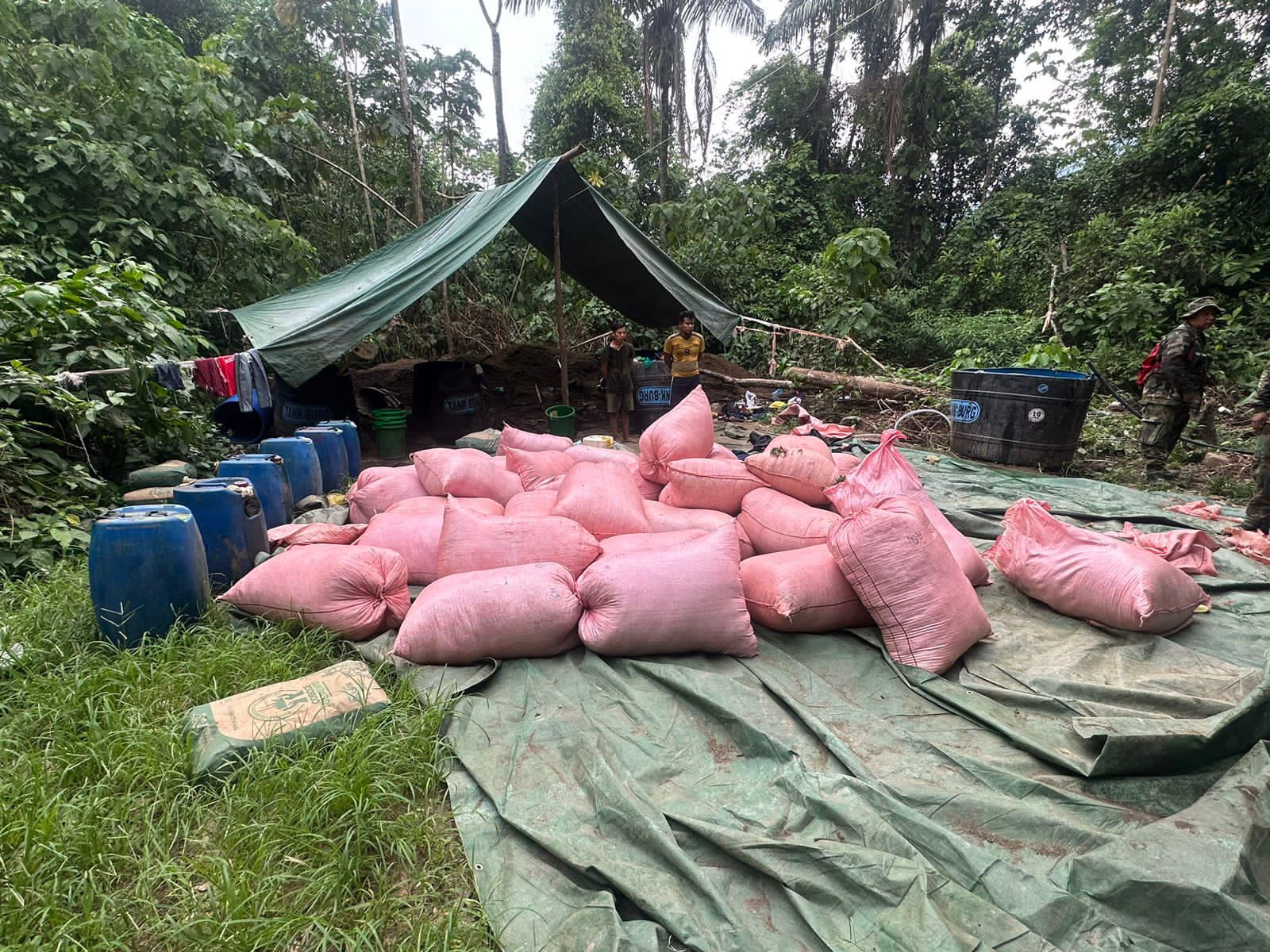 Destruyen dos fábricas de droga en el Chapare, Del Castillo anuncia "duplicar esfuerzos" contra el narcotráfico 